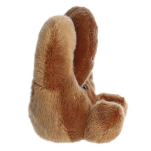 Afbeelding in Gallery-weergave laden, Palm Pals - pretzel 13 cm
