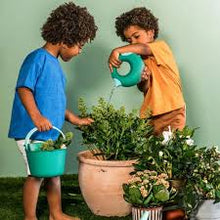 Afbeelding in Gallery-weergave laden, Quut gieter Cana 0,5L - Garden Green
