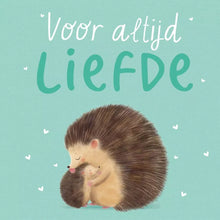 Afbeelding in Gallery-weergave laden, Rebo kartonboek - Voor altijd liefde - 0+
