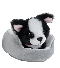 Afbeelding in Gallery-weergave laden, Roos Nobels ❤️ Take Me Home - hond of poes in mand 12cm - zwart/wit hondje
