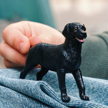 Afbeelding in Gallery-weergave laden, Schleich Farm World - Zwarte Labrador-retriever teef - 14923
