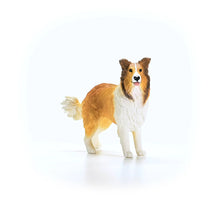 Afbeelding in Gallery-weergave laden, Schleich Farm World Collie - 13998
