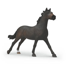 Afbeelding in Gallery-weergave laden, Schleich Horse Club - Engels volbloed merrie - 14914
