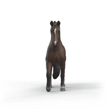 Afbeelding in Gallery-weergave laden, Schleich Horse Club - KWPN-ruin - 14919
