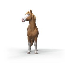 Afbeelding in Gallery-weergave laden, Schleich Horse Club - Mustang Merrie - 14920
