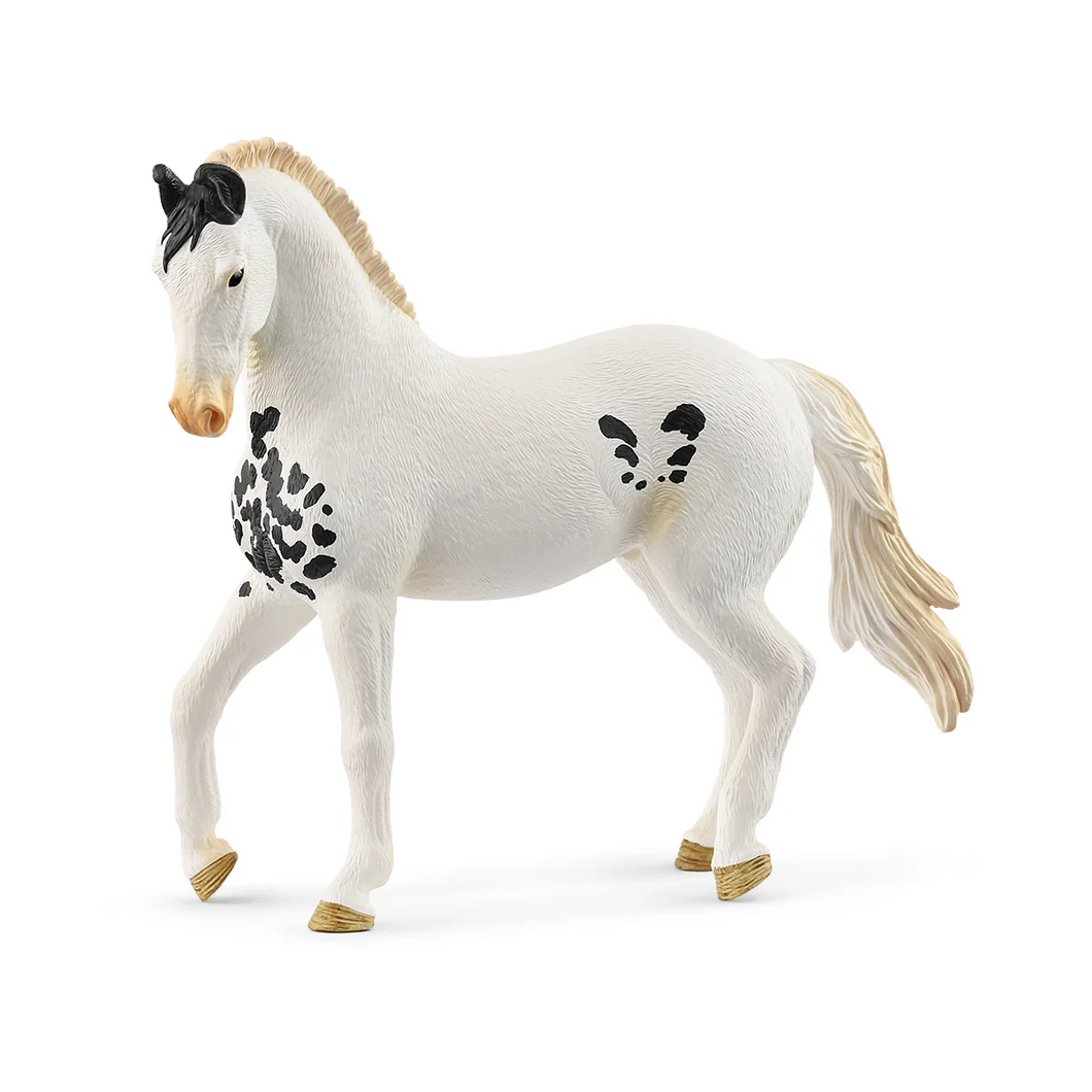 Schleich Horse Club Marwari Hengst - 14898