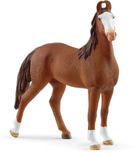 Afbeelding in Gallery-weergave laden, Schleich Horse Club Marwari Mare - 14897
