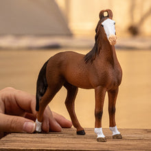 Afbeelding in Gallery-weergave laden, Schleich Horse Club Marwari Mare - 14897
