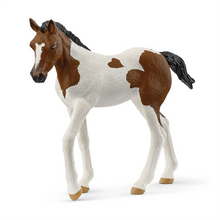 Afbeelding in Gallery-weergave laden, Schleich Horse Club Paint veulen - 14899

