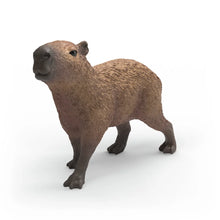 Afbeelding in Gallery-weergave laden, Schleich Wild Life - Capibara -14934

