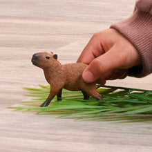 Afbeelding in Gallery-weergave laden, Schleich Wild Life - Capibara -14934
