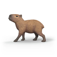 Afbeelding in Gallery-weergave laden, Schleich Wild Life - Capibara -14934
