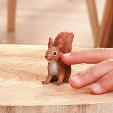 Afbeelding in Gallery-weergave laden, Schleich Wild Life - Eekhoorn - 14936
