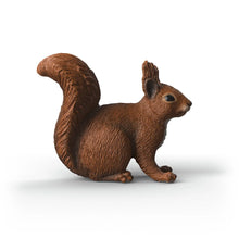 Afbeelding in Gallery-weergave laden, Schleich Wild Life - Eekhoorn - 14936
