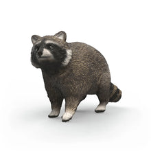 Afbeelding in Gallery-weergave laden, Schleich Wild Life - wasbeer - 14937
