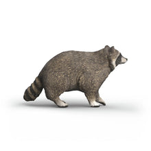 Afbeelding in Gallery-weergave laden, Schleich Wild Life - wasbeer - 14937
