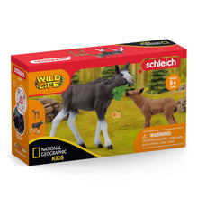 Afbeelding in Gallery-weergave laden, Schleich Wild Life National Geographic Kids Elend en elandkalf - 42603
