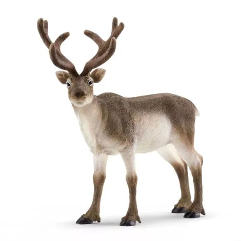 Schleich Wild Life Rendier - 14837