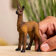 Afbeelding in Gallery-weergave laden, Schleich Farm World lamaveulen - 14890
