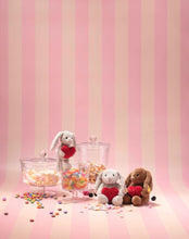 Afbeelding in Gallery-weergave laden, Steiff Pendant Pendant Hoppie rabbit Love 15 lichtgrijs tashanger - 112706
