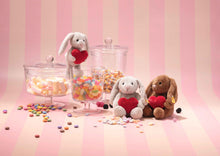 Afbeelding in Gallery-weergave laden, Steiff Pendant Pendant Hoppie rabbit Love 15 lichtgrijs tashanger - 112706
