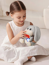 Afbeelding in Gallery-weergave laden, Topbright - Care Pets - Mummy Bunny
