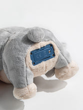 Afbeelding in Gallery-weergave laden, Topbright - Care Pets - Mummy Bunny
