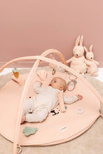 Afbeelding in Gallery-weergave laden, Trixie Activiteiten speelmat met bogen - Mrs. Rabbit
