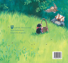 Afbeelding in Gallery-weergave laden, Veltman boek - Beer vindt eieren 2+
