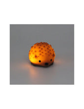 Afbeelding in Gallery-weergave laden, Winkee Tiny Nightlight - Egel

