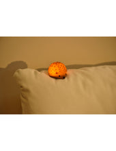 Afbeelding in Gallery-weergave laden, Winkee Tiny Nightlight - Egel
