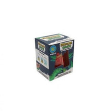 Afbeelding in Gallery-weergave laden, Groeiende dinosaurus in vulkaan
