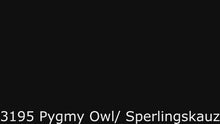 Video laden en afspelen in Gallery-weergave, Folkmanis Pygmy Owl - Dwerguil handpop
