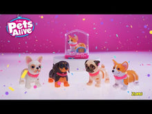 Video laden en afspelen in Gallery-weergave, Zuru Pets Alive Booty Shakin&#39; Pups - Mopshond
