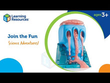 Video laden en afspelen in Gallery-weergave, Learning Resources - Beaker Creatures® Monsterglow Lab
