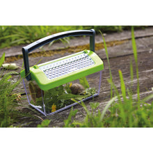 Afbeelding in Gallery-weergave laden, Haba Terra Kids doorzichtige insectendoos - 301513
