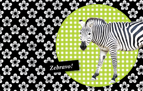 Leuke Kaartjes ZOO! 100 Zebra