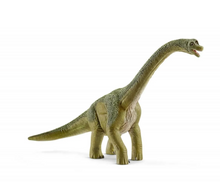 Afbeelding in Gallery-weergave laden, Schleich Dinosaurs Brachiosaurus - 14581
