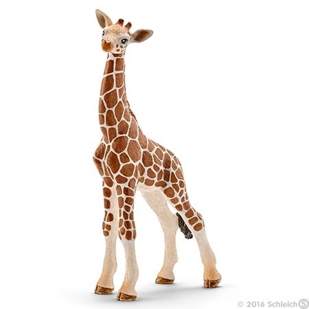 Schleich Wild Life Afrika giraffe kalf - 14751