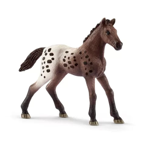 Schleich Horse Club Appaloosa veulen  - 13862