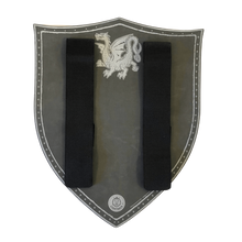 Afbeelding in Gallery-weergave laden, Liontouch schild ridder - Knight Shield Amber Dragon
