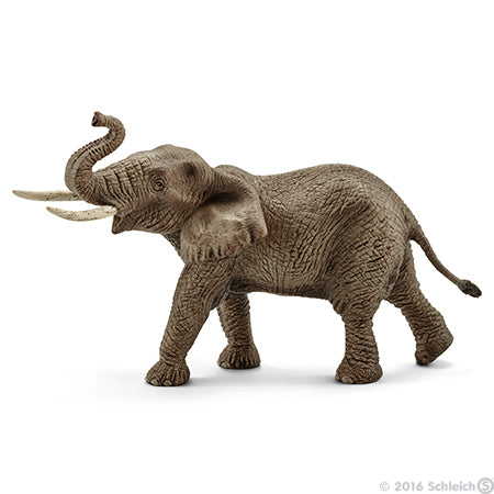 Schleich 14762 Affricaan Olifant, stier Afrikaanse olifant manne